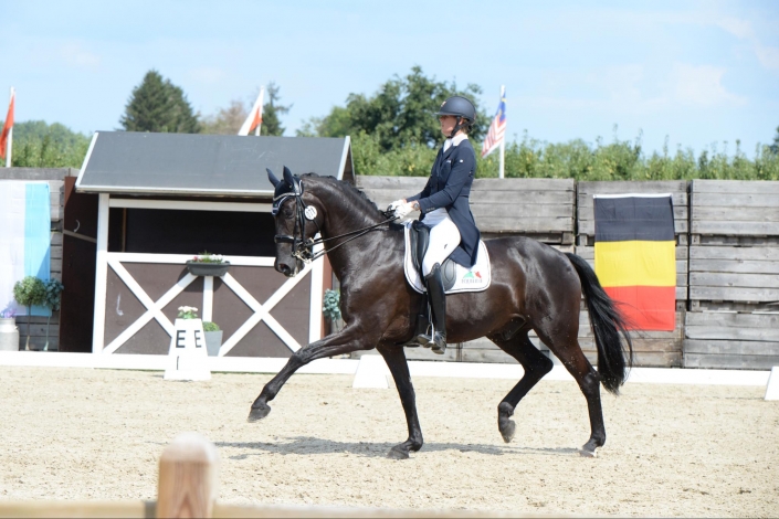 Cardento CDN Sint-Truiden