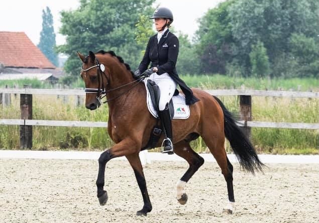 jorinde-cdndentergem