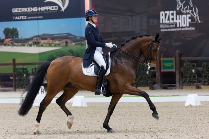 WhatsApp Image 2025-12-22 at 19.10.41